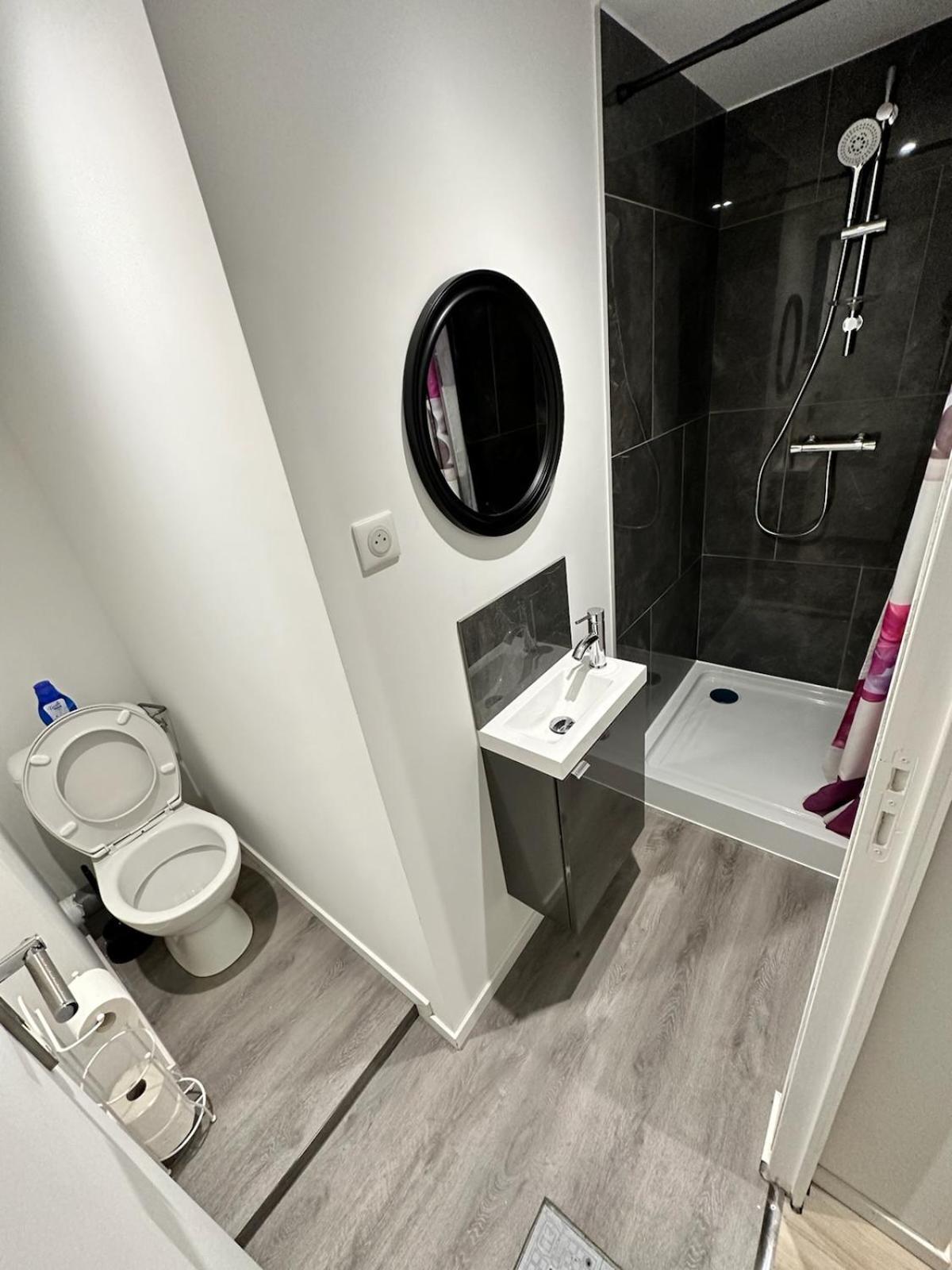 Ferienwohnung Cosy Citadin Mülhausen Exterior foto